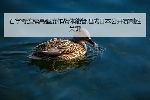 石宇奇连续高强度作战体能管理成日本公开赛制胜关键